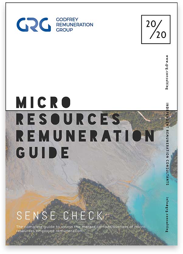 micro resources remuneration guide